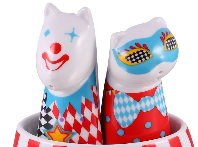 solniczka kot i pies